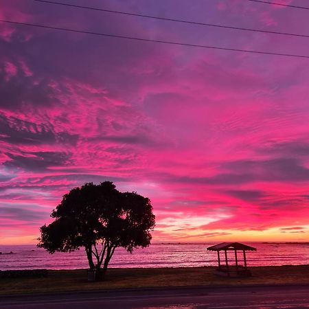 The Anchor Inn Beachfront Motel Kaikoura Exterior foto